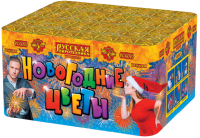 Новогодние цветы Фейерверк купить в Комсомольске | komsomolsk.salutsklad.ru