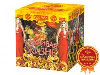 Красивая жизнь Фейерверк купить в Комсомольске | komsomolsk.salutsklad.ru