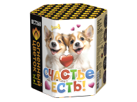 Счастье есть! Салют купить в Комсомольске | komsomolsk.salutsklad.ru