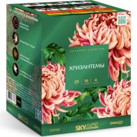 Хризантемы Фейерверк купить в Комсомольске | komsomolsk.salutsklad.ru