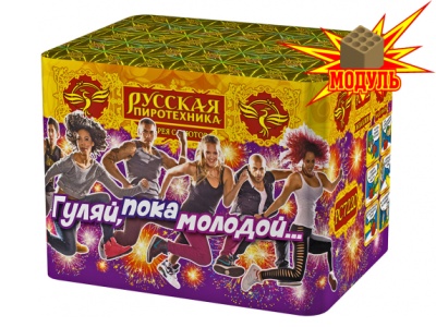 Гуляй, пока молодой... Фейерверк купить в Комсомольске | komsomolsk.salutsklad.ru