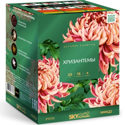 Хризантемы Фейерверк купить в Комсомольске | komsomolsk.salutsklad.ru