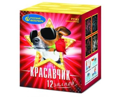 Красавчик Салют купить в Комсомольске | komsomolsk.salutsklad.ru